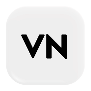 VN - Infozub Digital Academy