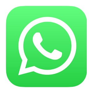 whatsapp - Infozub Digital Academy