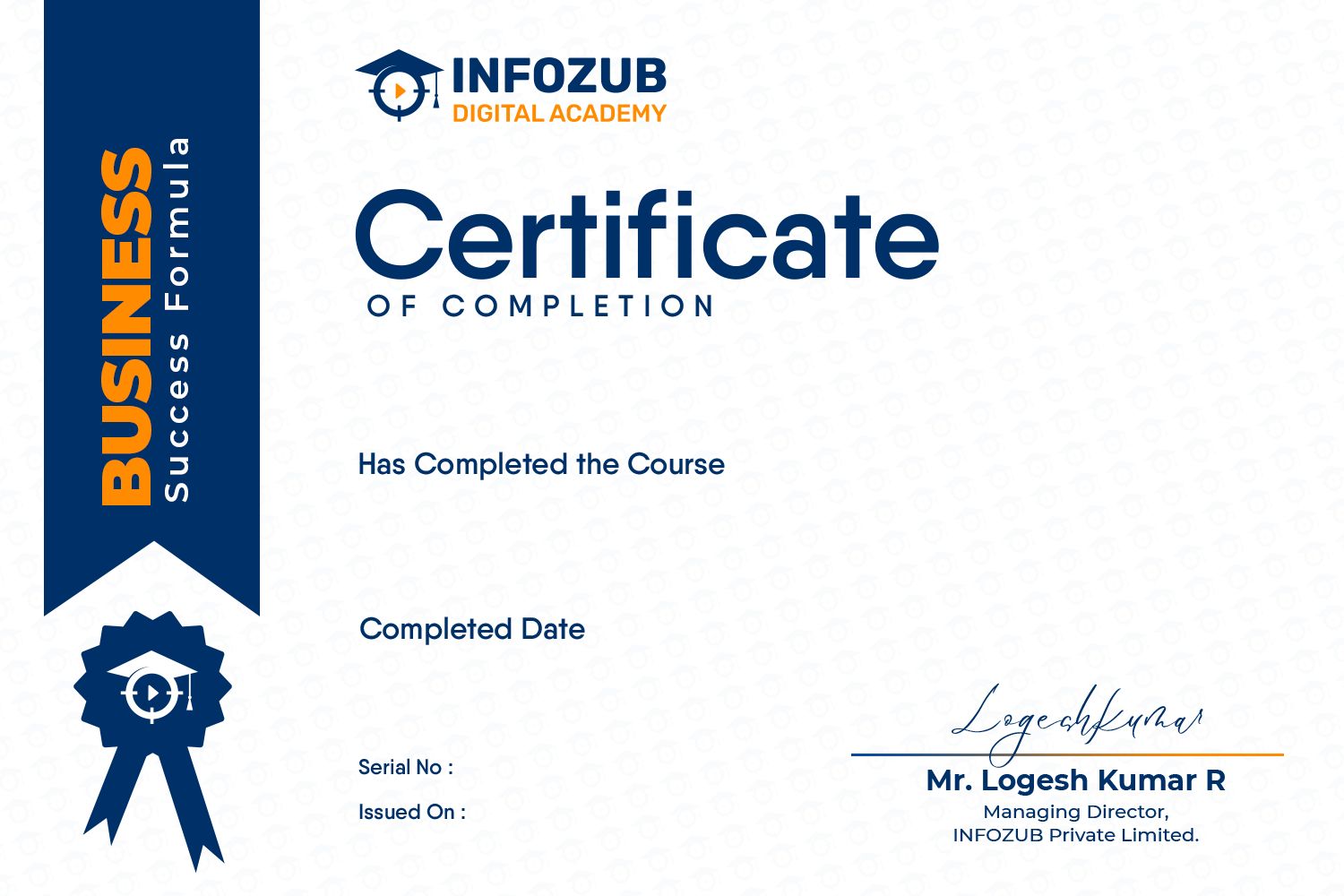 BSF Certification_IDA Certificate of Completion from Infoozub Digital Academy, featuring a blue left ribbon and a signature block at the bottom right.